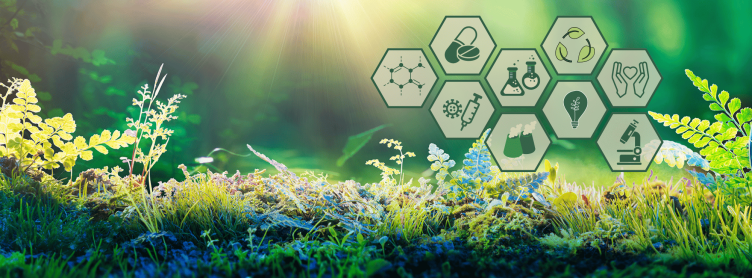 Sustainable manufacturing practices